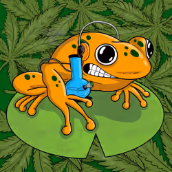 Collie Buddz Twisted Tree Frogs Massive #1064