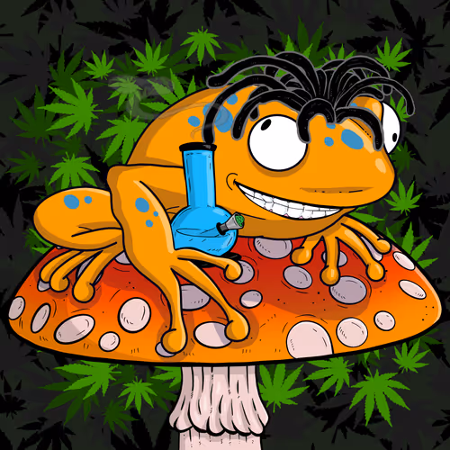 Collie Buddz Twisted Tree Frogs Massive