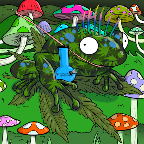Collie Buddz Twisted Tree Frogs Massive
