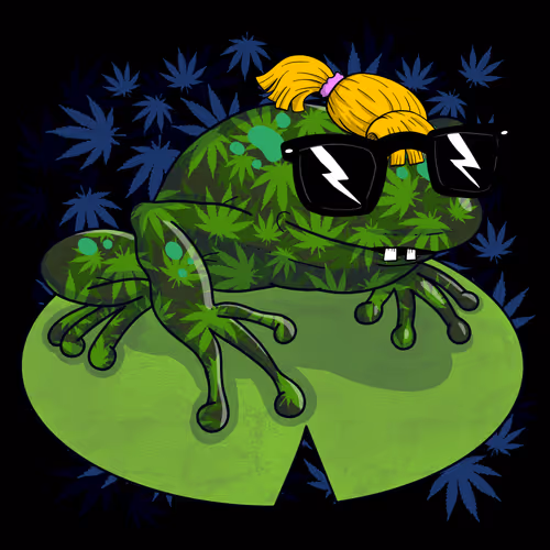 Collie Buddz Twisted Tree Frogs Massive