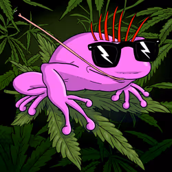 Collie Buddz Twisted Tree Frogs Massive #1246