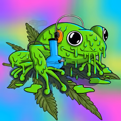 Collie Buddz Twisted Tree Frogs Massive #625