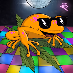 Collie Buddz Twisted Tree Frogs Massive #890