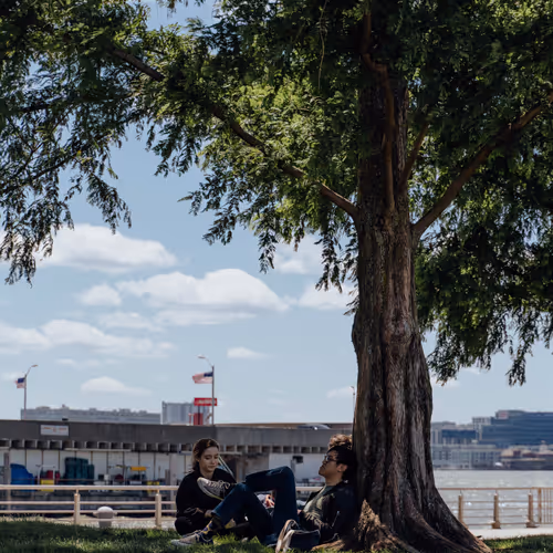 Wandering around NYC