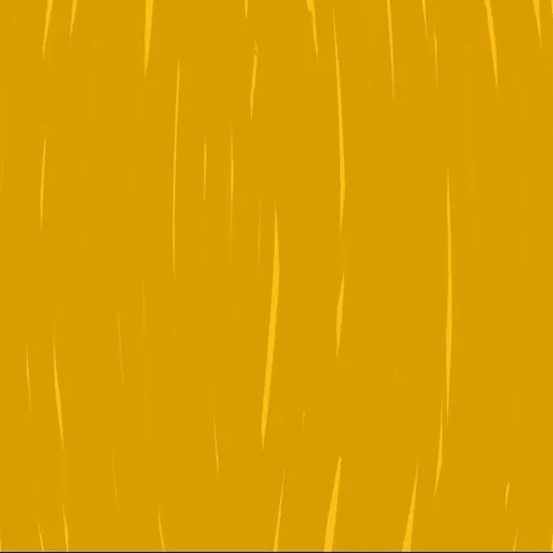 Primxry 1