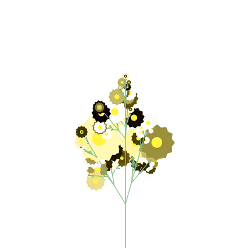 Nubloomfractal