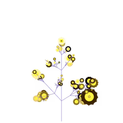 Boomerang Wintercress