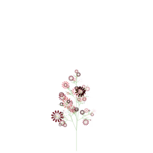 Boomerang Fluxroot