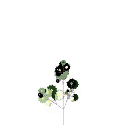 Corrupted Groundberry
