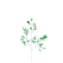 Vision Bush
