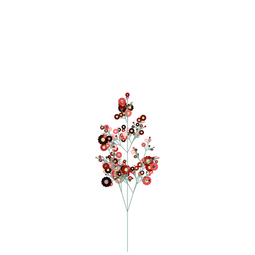 Nubloomfractal