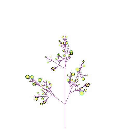 Nubloomfractal