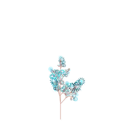 Shocking Pine