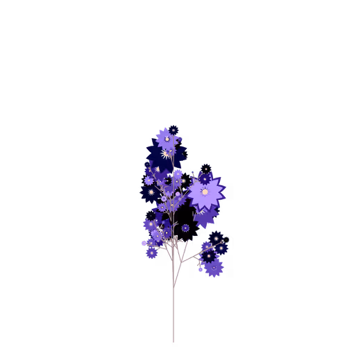 Nubloomfractal