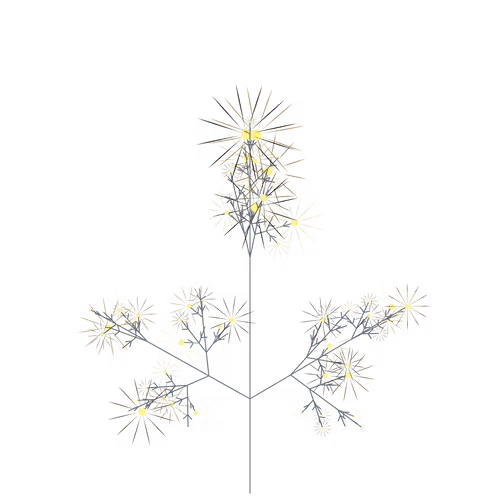 Nubloomfractal