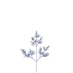 Dead Poisonflower