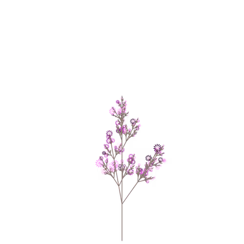 Nubloomfractal