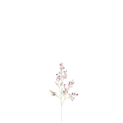 Skeletal Bush