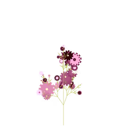 Sanguine Sugarplum