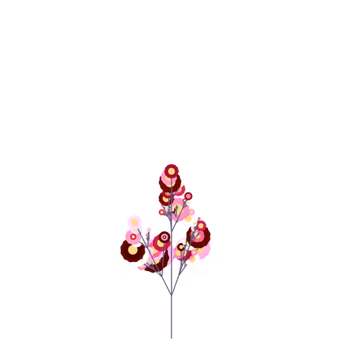 Nubloomfractal