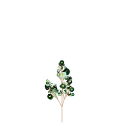 Plague Deadnettle
