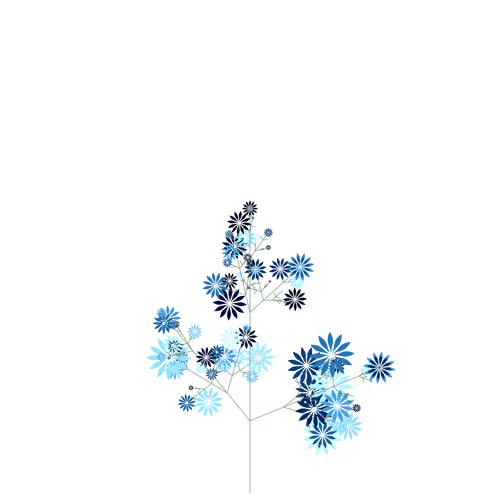 Nubloomfractal
