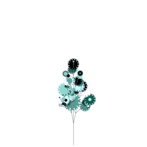 Nubloomfractal