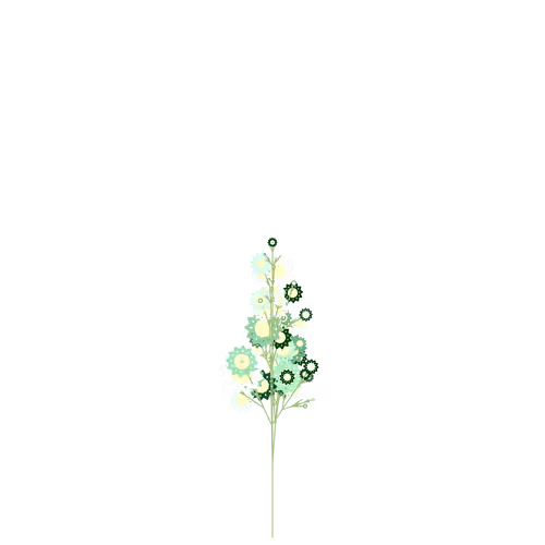 Nubloomfractal