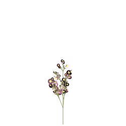Hammer Fairymoss