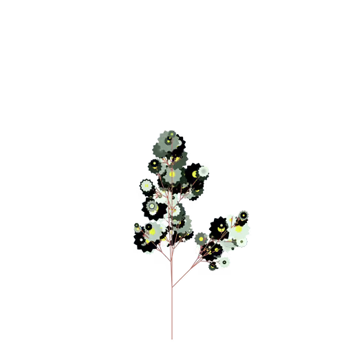 Fanged Juniper
