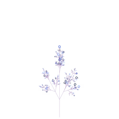 Nubloomfractal