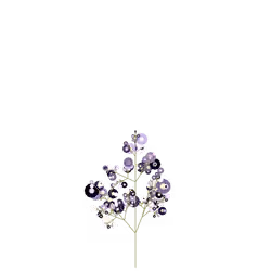 Star Flower