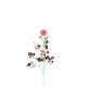 56