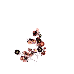 Volcano Poinsetta