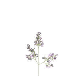 Sentient Fluxroot