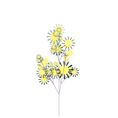 Skeletal Houseleek