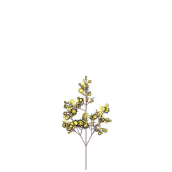 Corrupted Bower