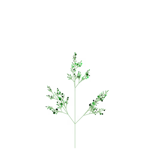 Nubloomfractal