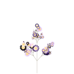 Snow Nightshade
