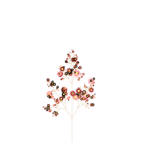 Nubloomfractal
