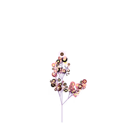 Nervous Daisy