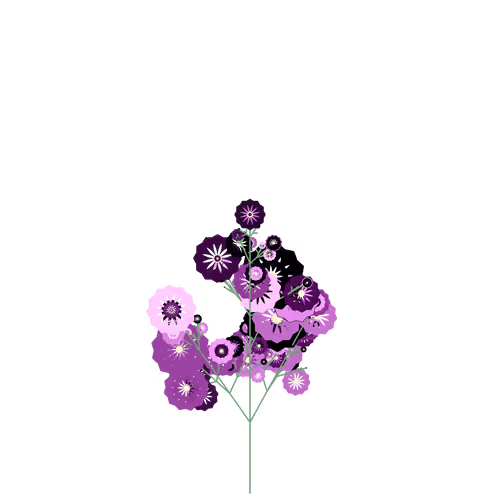 Nubloomfractal