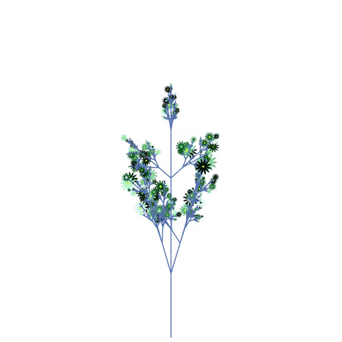 Nubloomfractal