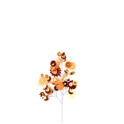 Jester Thousand-leaf