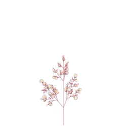 Silent Berry