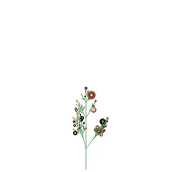 Pest Inkberry