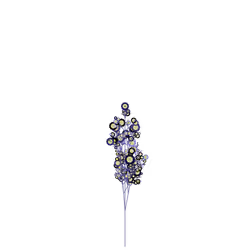 Angel's Root