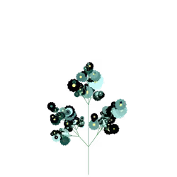Poisonous Colwort