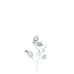 Ordinary Fairymoss