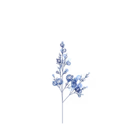 Mage's Wineberry